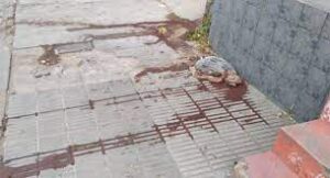 sangre
