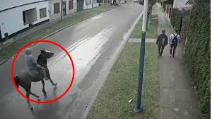 ladron a caballo