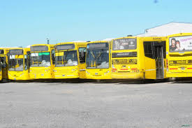 bus1