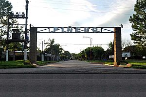 piñero